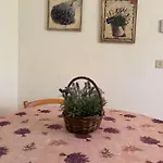 Casa Perla E Conchiglia *