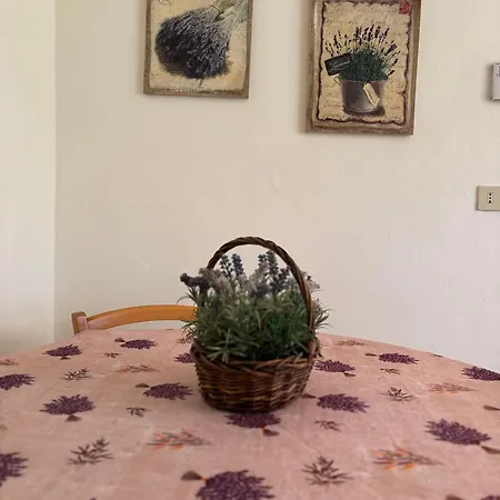 Casa Perla E Conchiglia *