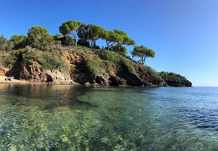 Casa Perla E Conchiglia 펜션 카폴리베리